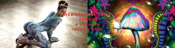 амф Дмитров