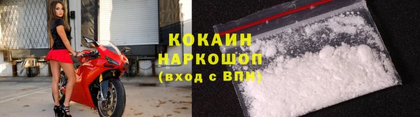 СК Дмитровск