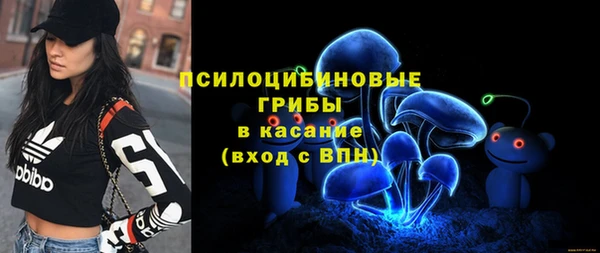 таблы Дмитриев