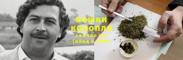 СК Дмитровск