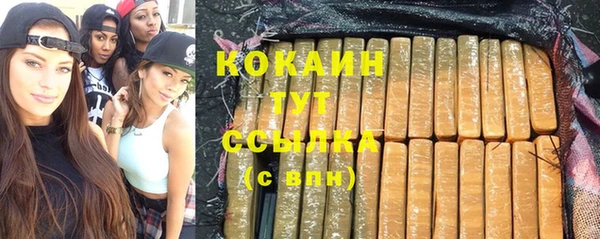 амф Дмитров
