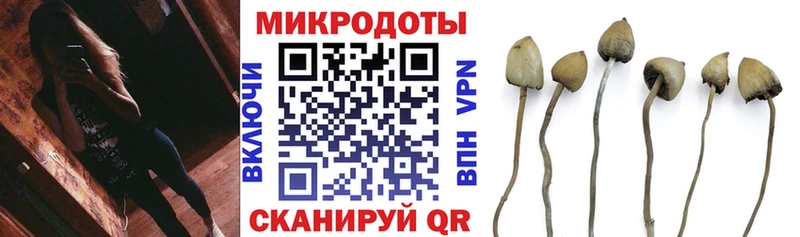 Псилоцибиновые грибы ЛСД Пятигорск